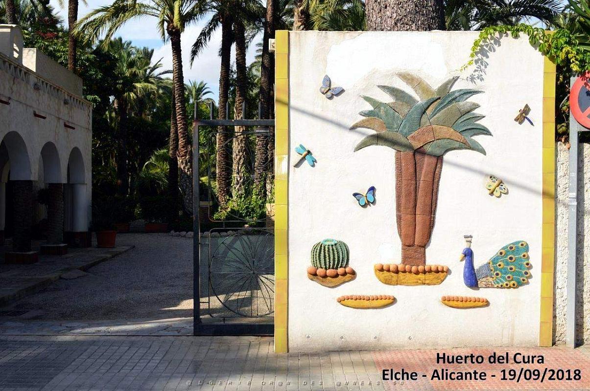 19 ELCHE HUERTO DEL CURA (5).JPG